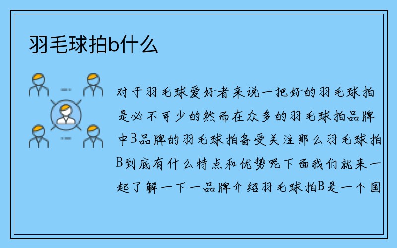 羽毛球拍b什么